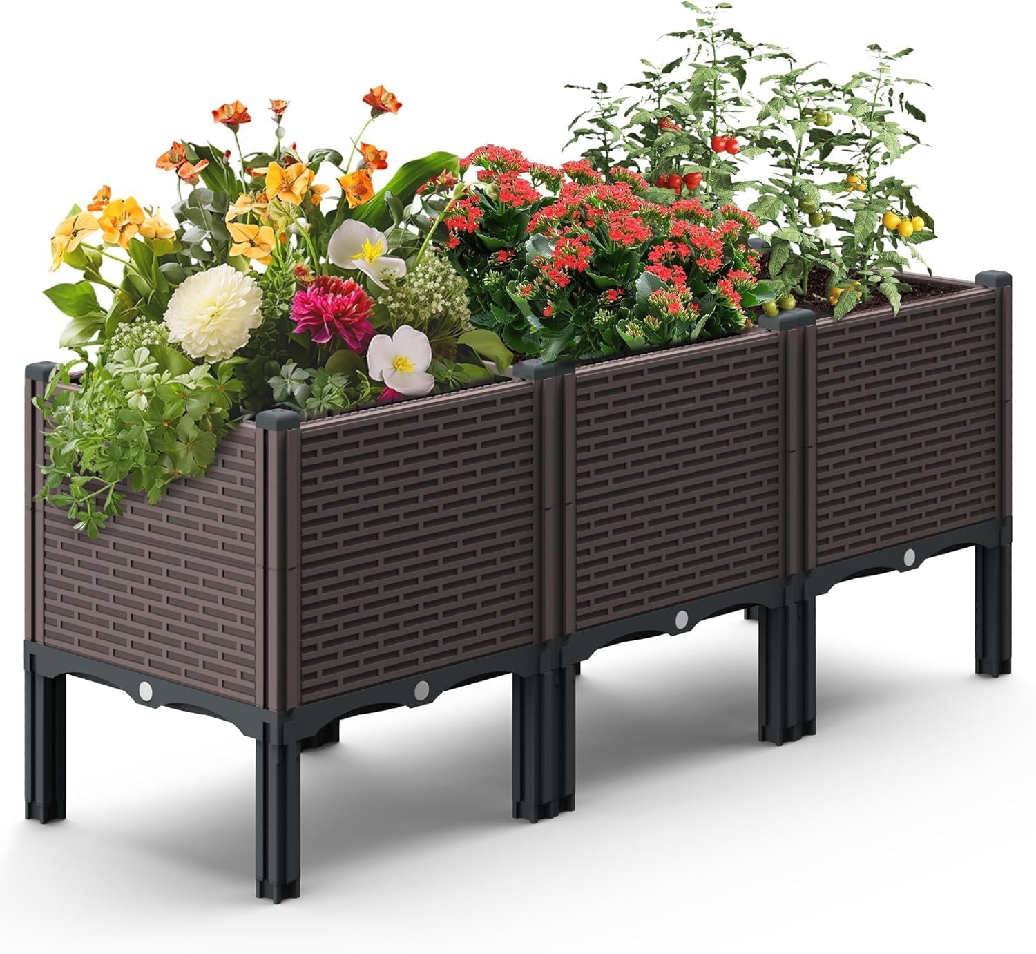 DIZAIGOGO raised garden bed outdoors for vegetables and herbs with durable weather resistance.