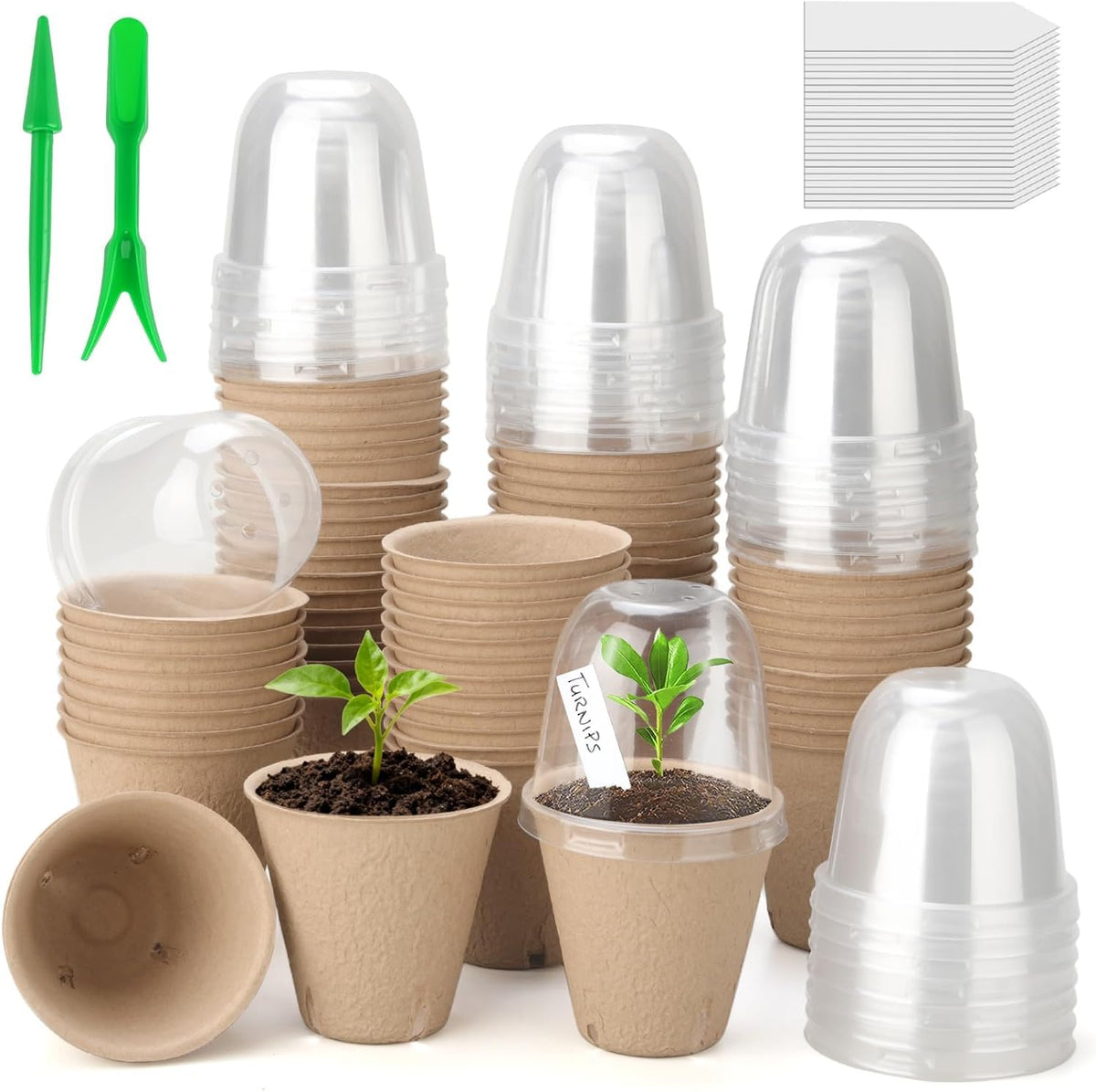 DJGINRO peat pots 50-pack for seed starting and root growth.