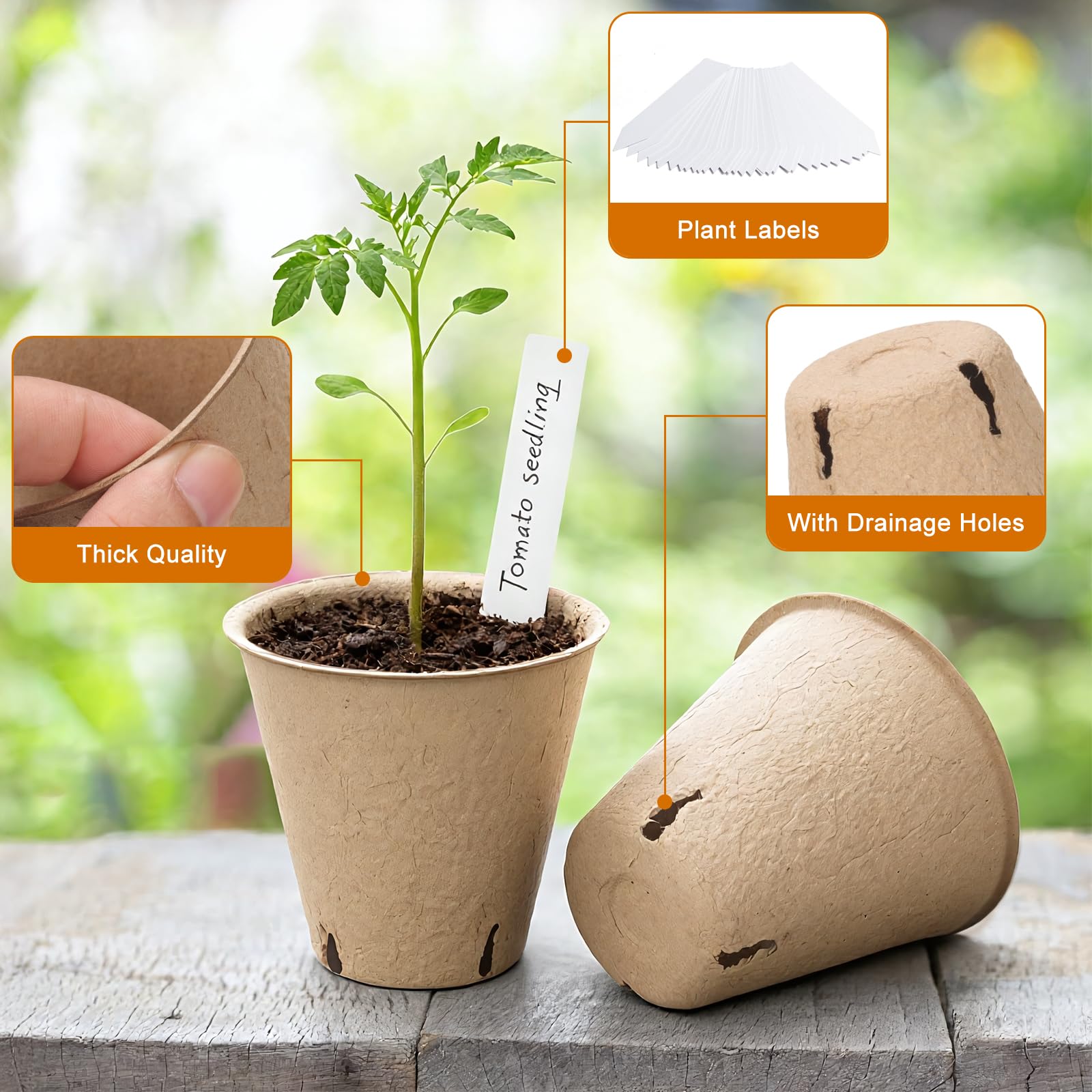 DJGINRO plant labels help organize seeds and track growth efficiently.