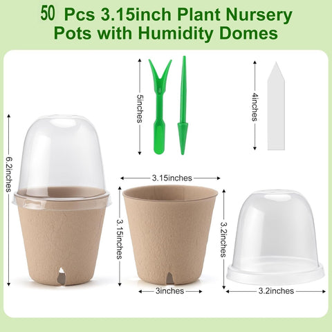 DJGINRO plant labels help organize varieties during germination.