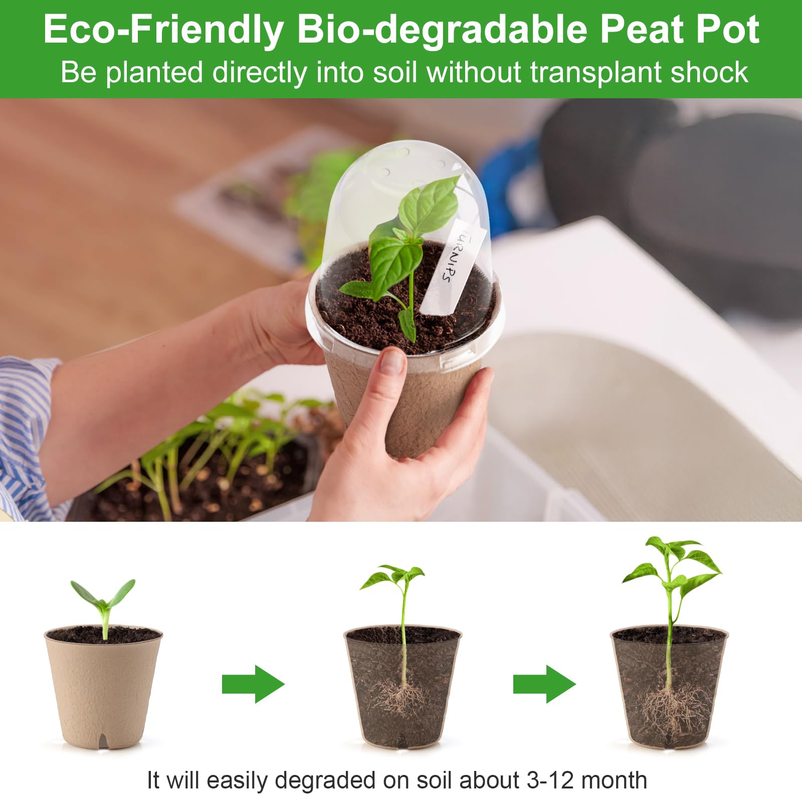 DJGINRO seedling setup shows biodegradable pots in germination setup.