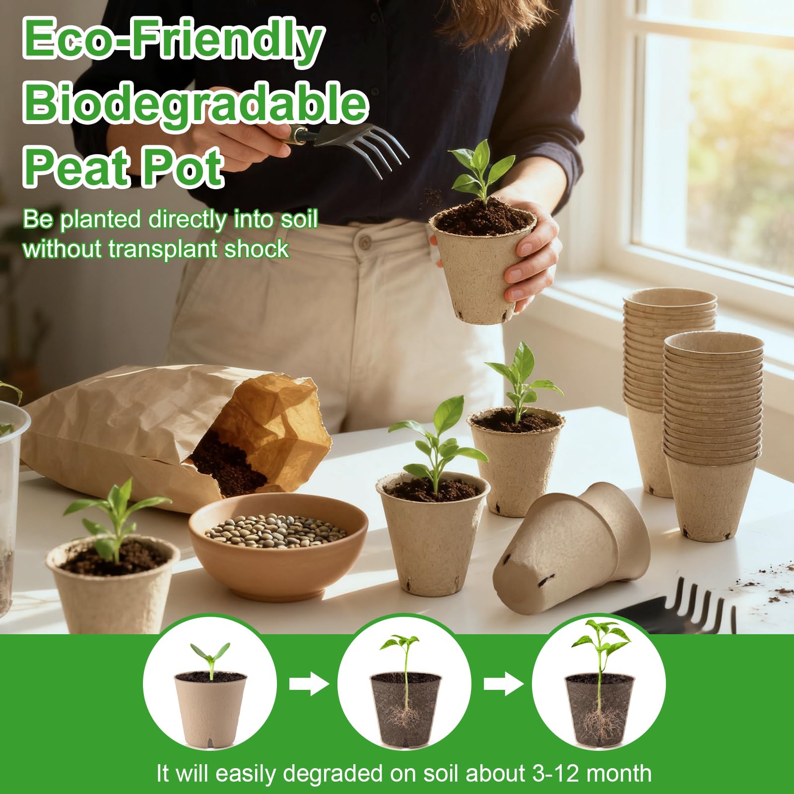 DJGINRO transplant tools simplify pot-to-soil transfers with cleaner handling.