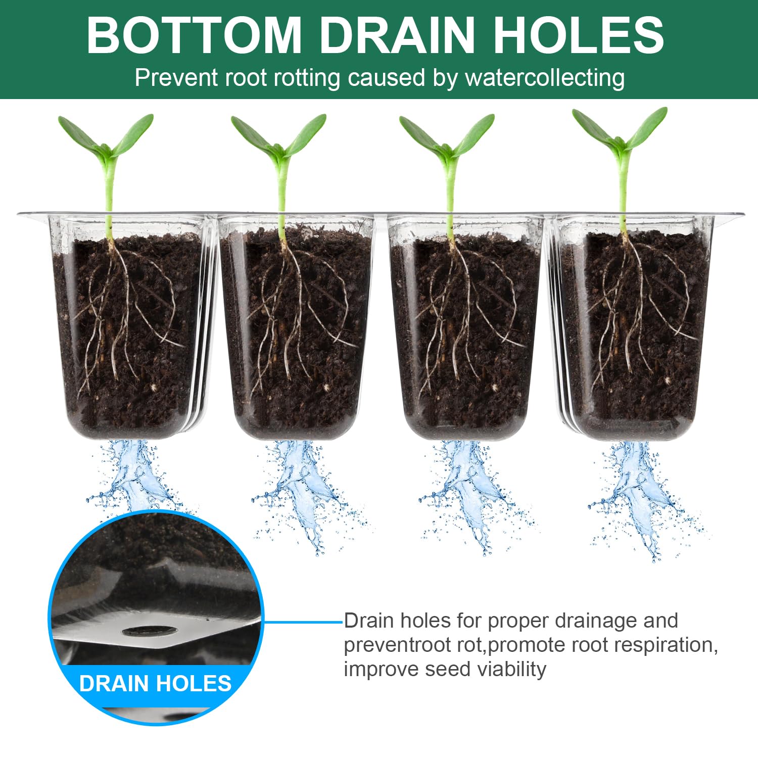 DJGINRO seed starter kit includes lids base trays humidity covers and plant tags