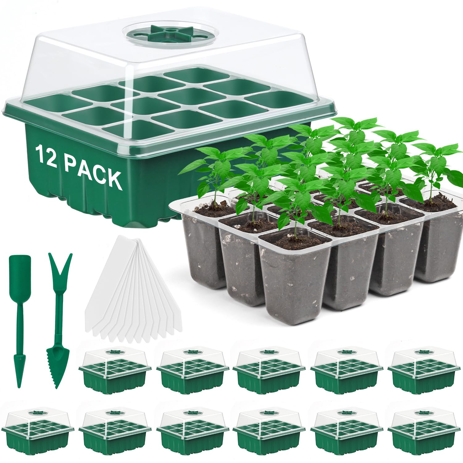 DJGINRO seed starter tray with clear lid for quick germination visibility