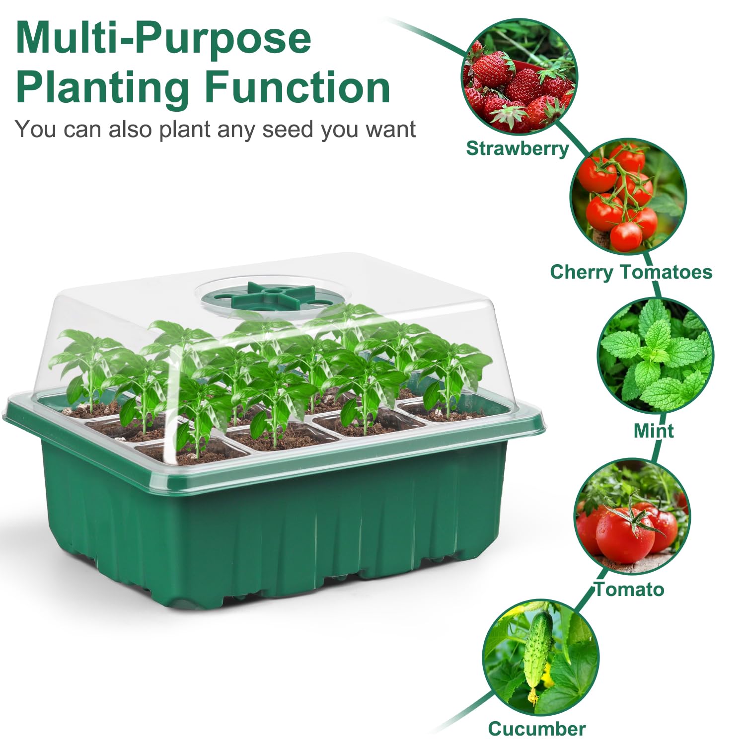DJGINRO transparent design enables easy monitoring of germination progress