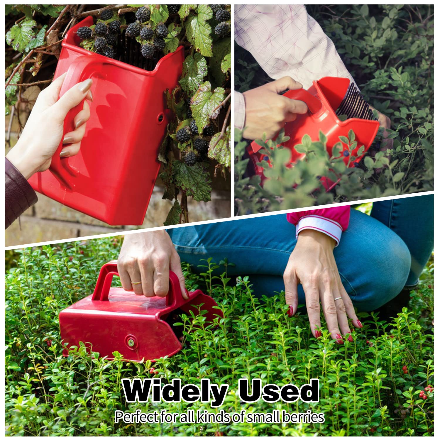 DkOvn ergonomic handle minimizes hand fatigue during extended berry picking