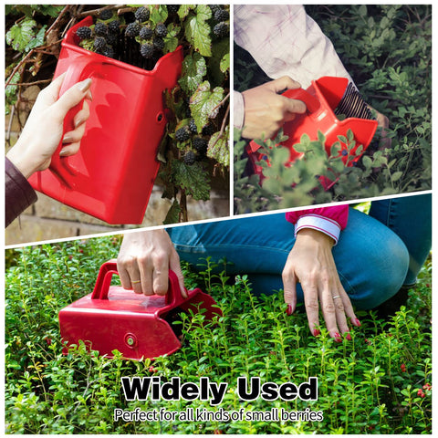 DkOvn ergonomic handle minimizes hand fatigue during extended berry picking