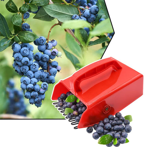 DkOvn red berry picker shown beside fresh berries for scale
