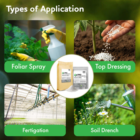 DL Wholesale Pro Powders Silica Potassium Silicate compatible with soil coco and soilless media