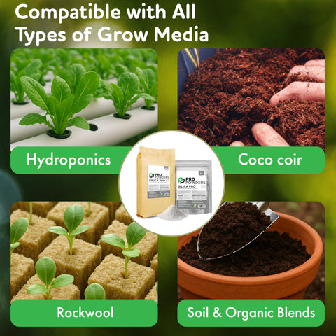 DL Wholesale Pro Powders Silica Potassium Silicate improves nutrient uptake for denser flowers