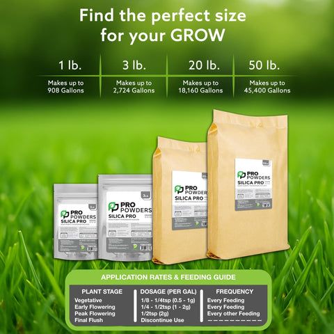 DL Wholesale Pro Powders Silica Potassium Silicate being applied as a foliar spray
