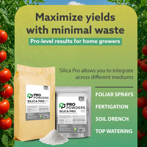 DL Wholesale Pro Powders Silica Potassium Silicate used as soil drench in a growing medium