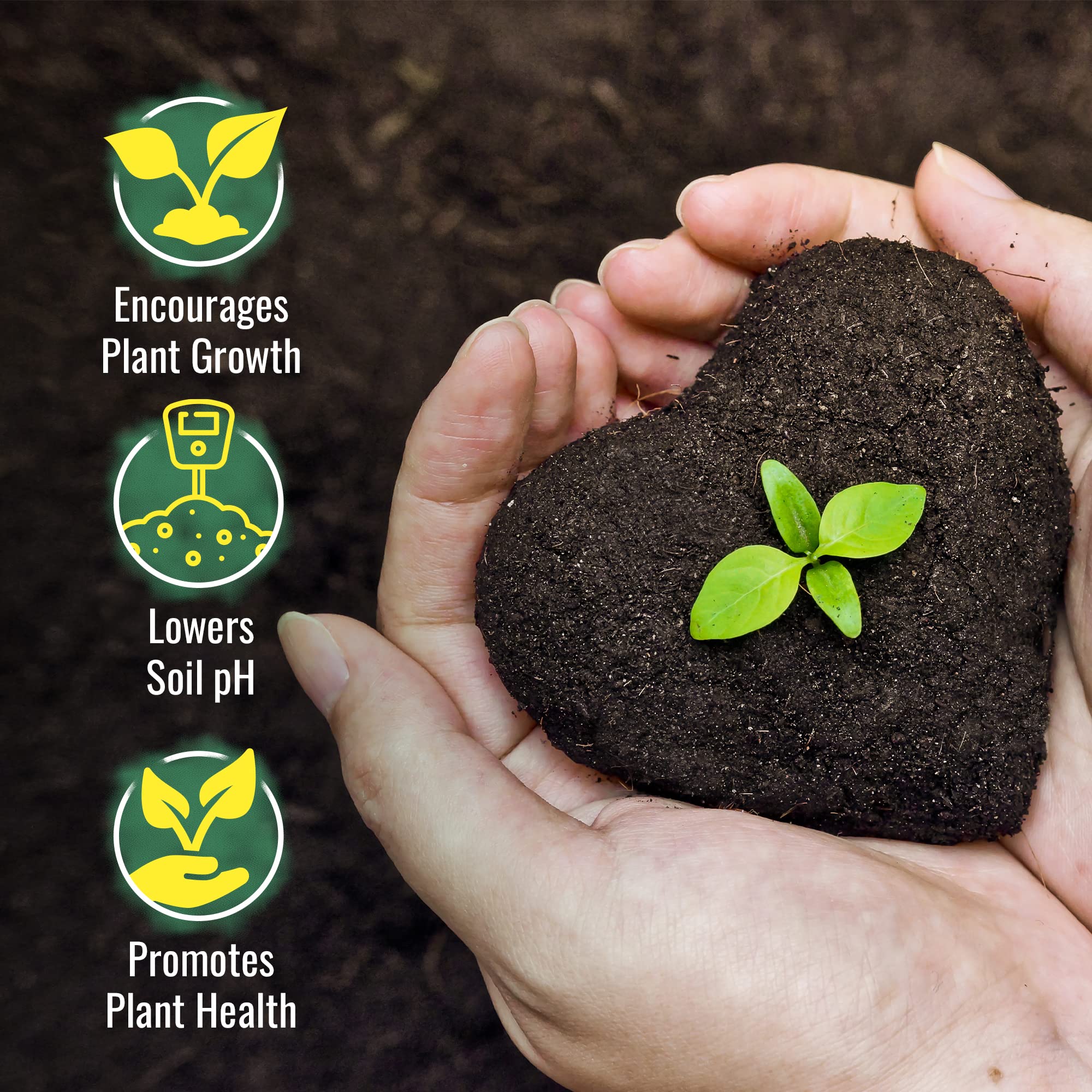 DL Wholesale sulfur bag 2lb garden use showing sulfur-deficient soils and plants