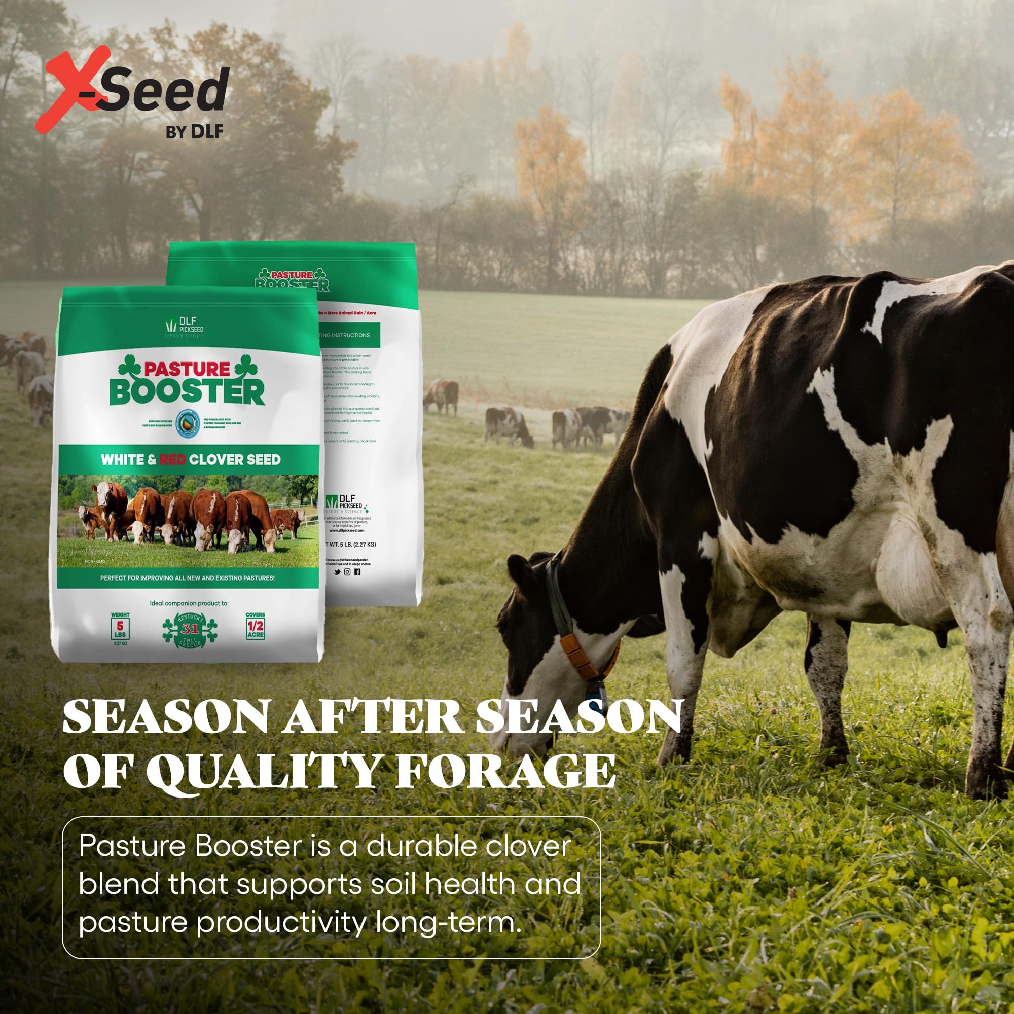 DLF Pasture Booster Clover Seed Mixture applied to lawn demonstrates low-maintenance pasture improvement.
