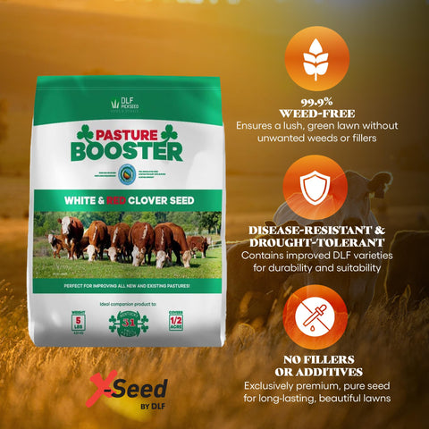 DLF Pasture Booster Clover Seed Mixture bag closeup highlights seed quality for strong forage.