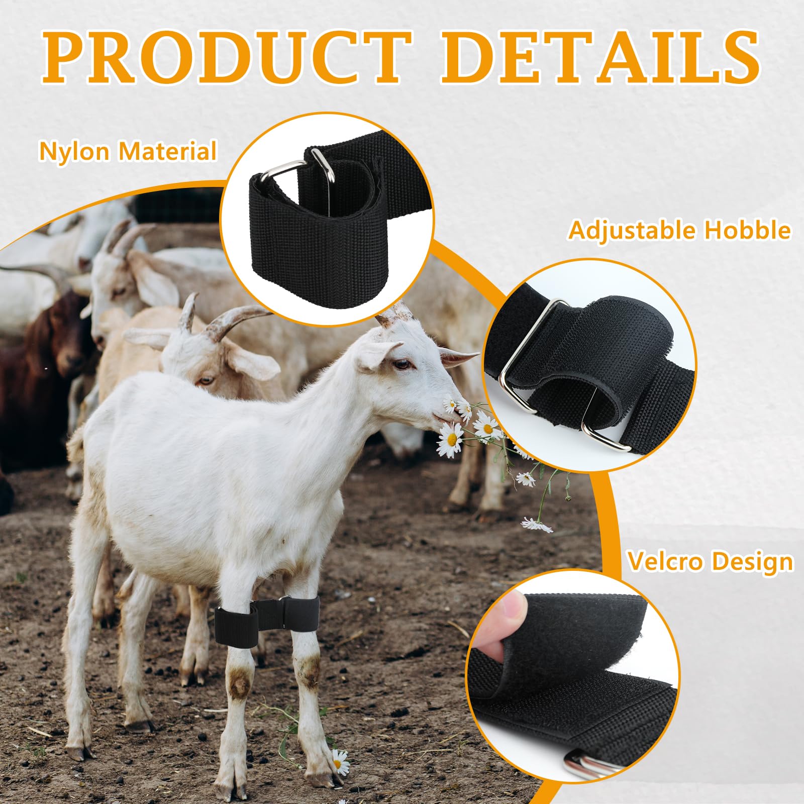 DLUGOPIS hobble's 4-inch link band provides stable control.