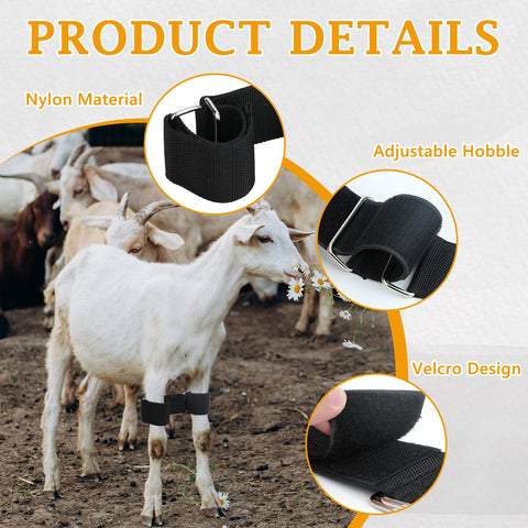 DLUGOPIS hobble's 4-inch link band provides stable control.