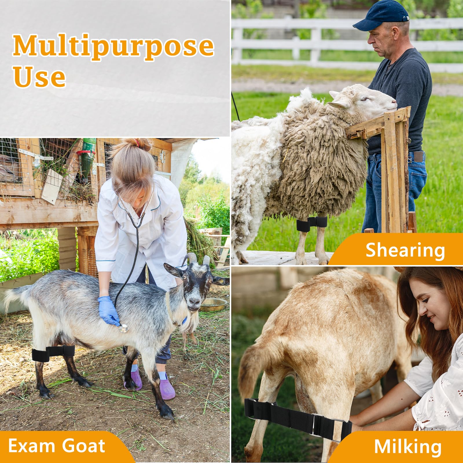 DLUGOPIS nylon milking hobbles offer lightweight durability.