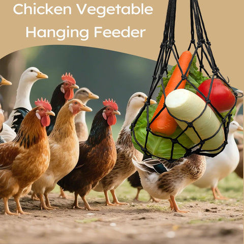 DMIMIA hanging chicken feeder bag showing vegetables and treats