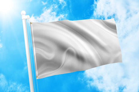 DMSE flag 2x3 UV resistant and color-fast for bright storefront signage