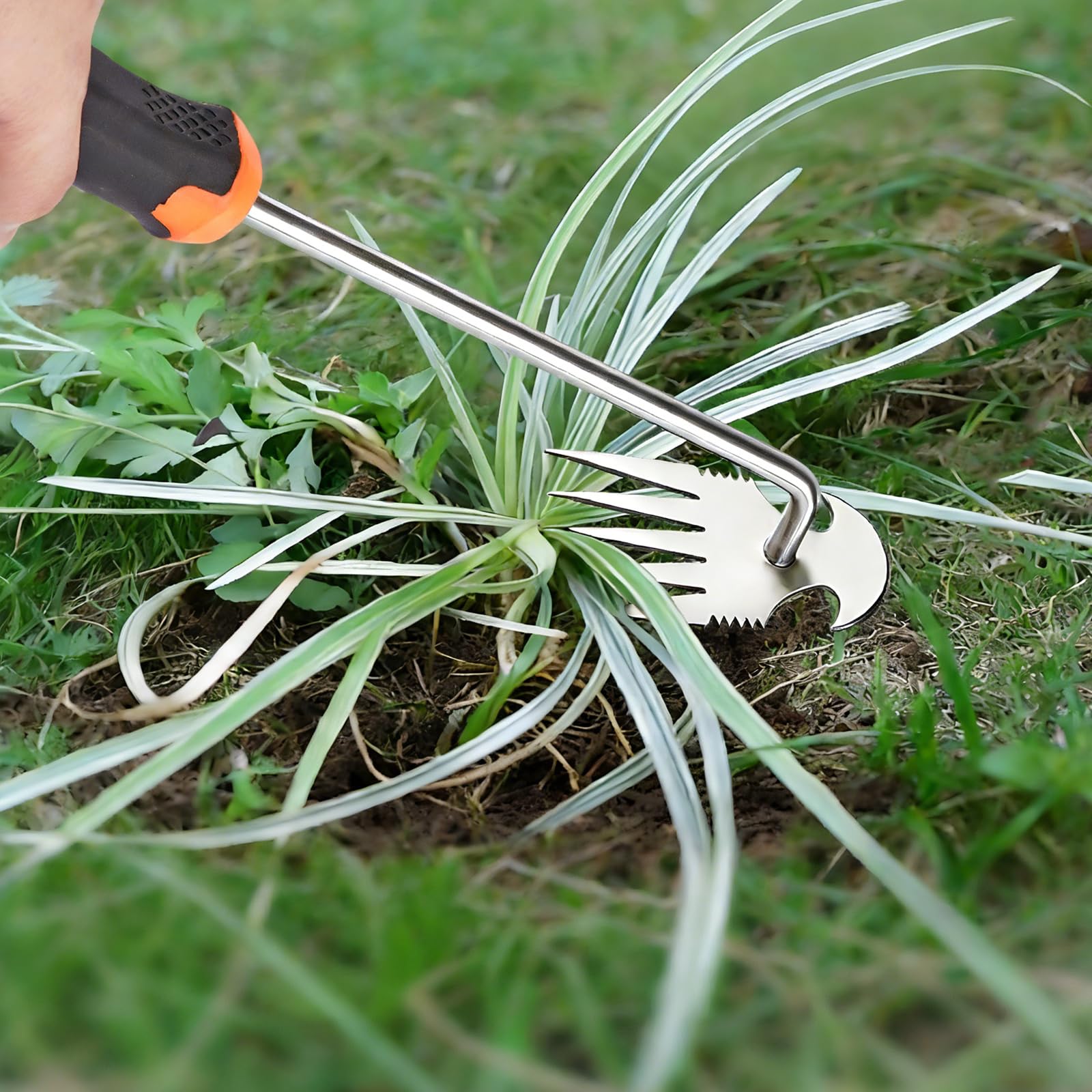 DMwespe weed pulling in garden beds after rain is easier with sturdy design