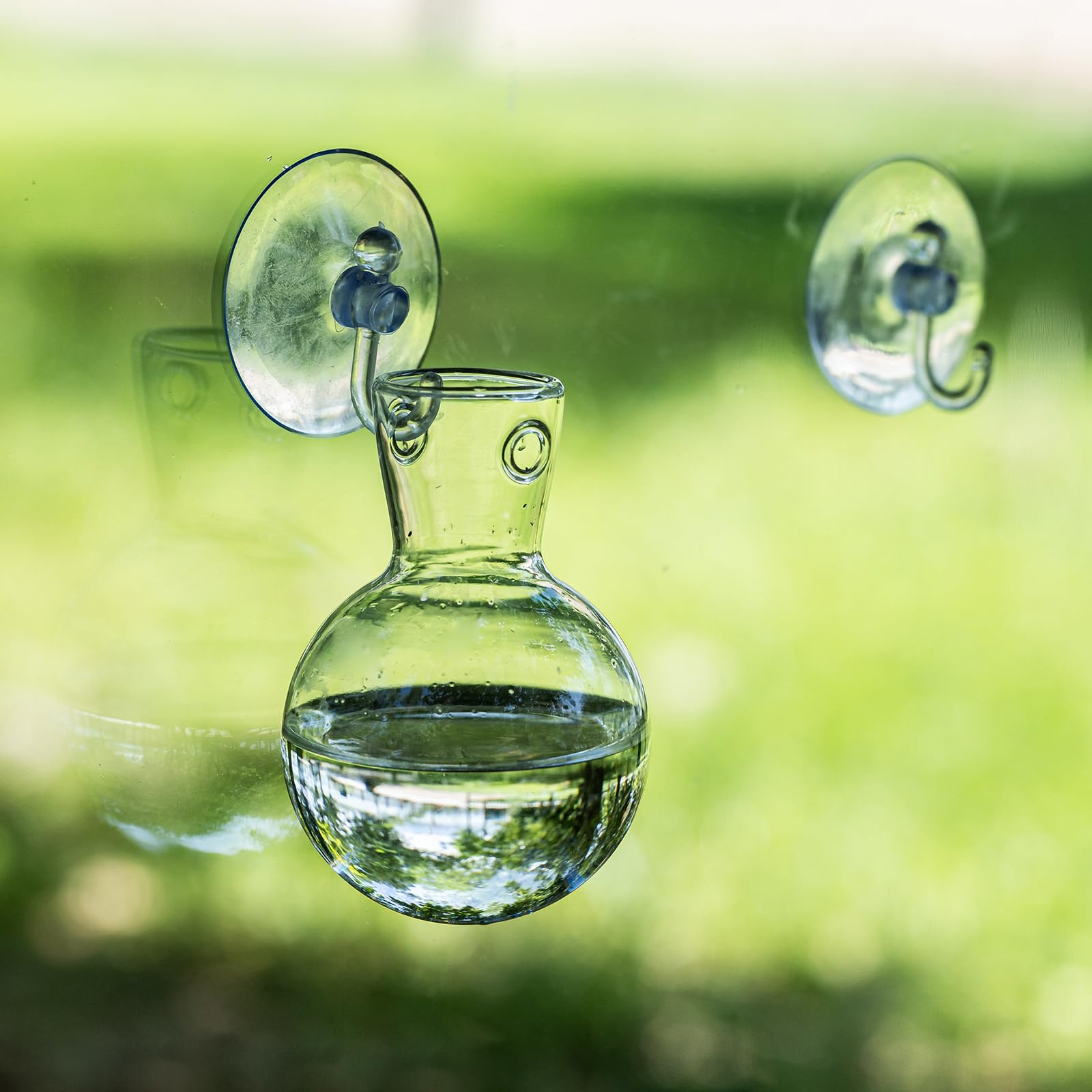 DNIENKGE bulb vase visibility helps you watch roots and growth progress.