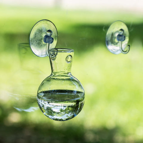 DNIENKGE bulb vase visibility helps you watch roots and growth progress.