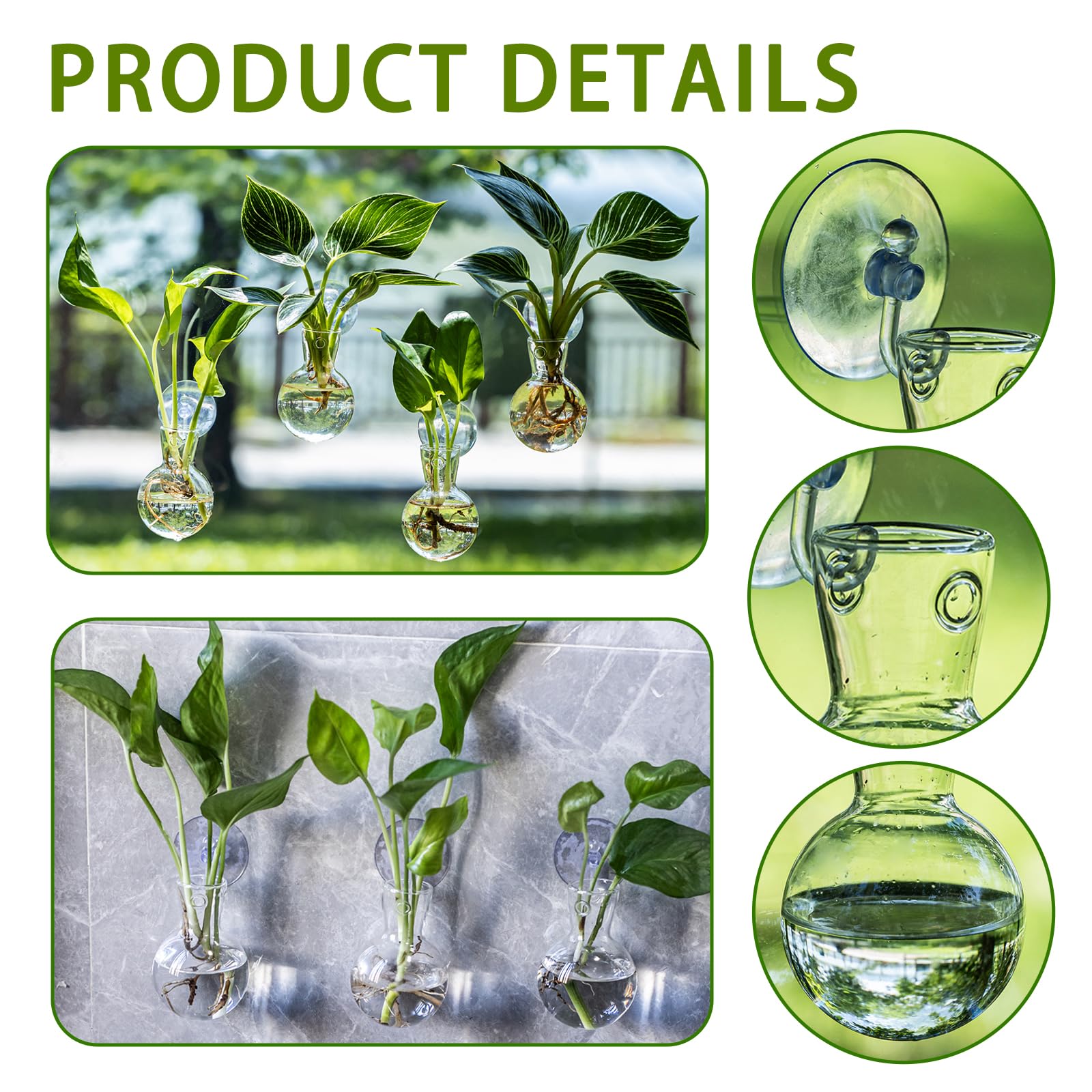 DNIENKGE water propagation display supports rooting cuttings and a subtle indoor garden.