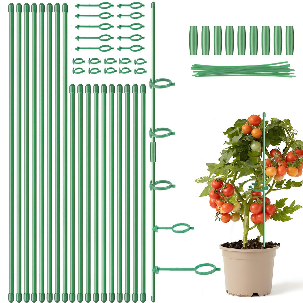 Dntorx 18-piece plant stakes set keeps plants upright and supported.