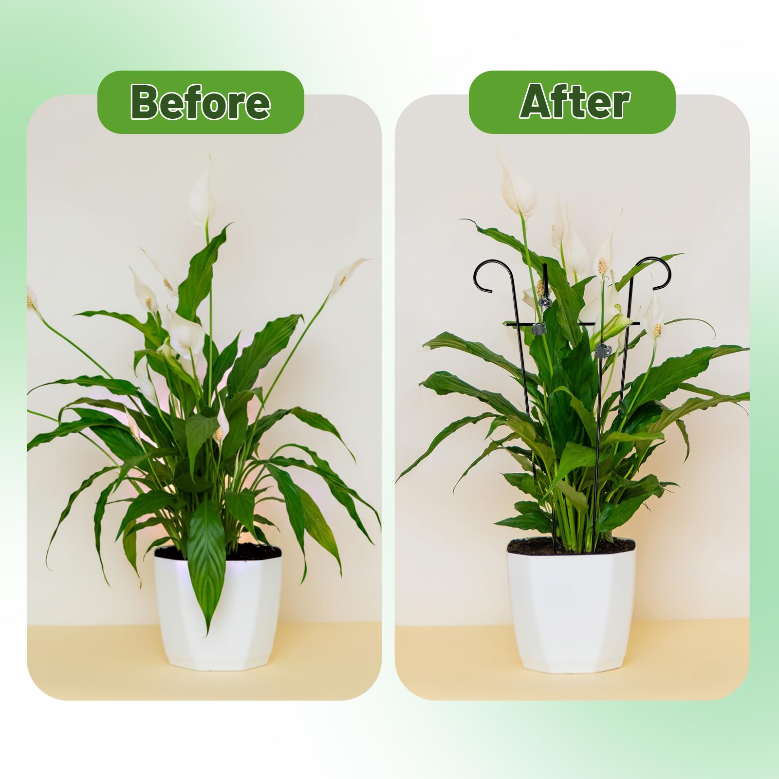 Dntorx climber support fits jasmine, pothos, honeysuckle and more.
