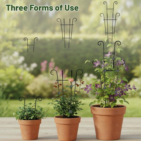 Dntorx easy-install no-tools setup for quick vine training.
