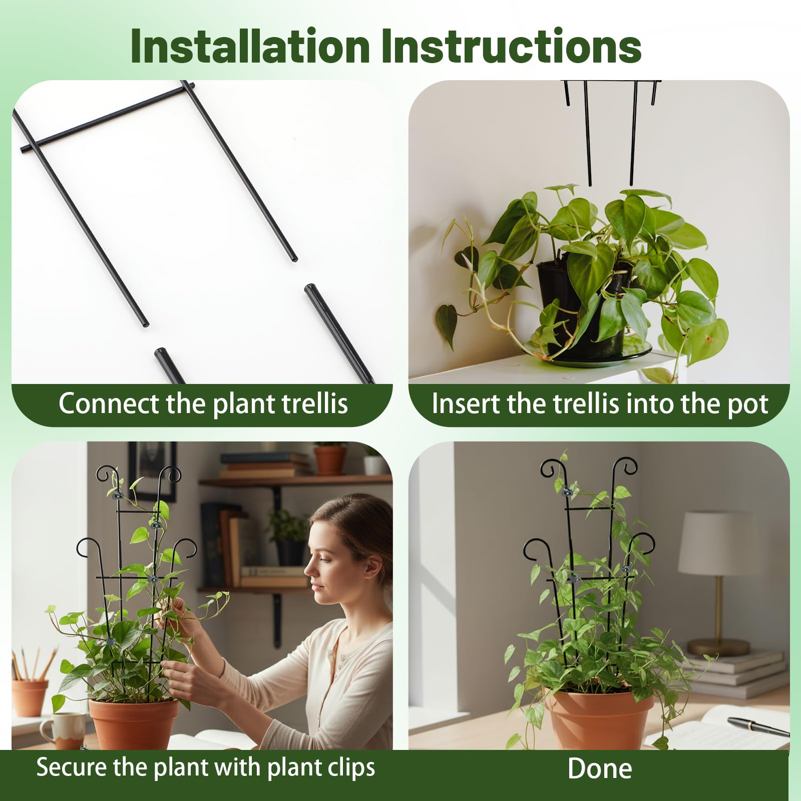 Dntorx garden trellis in pot display for vertical Garden interest.