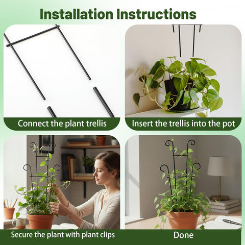 Dntorx garden trellis in pot display for vertical Garden interest.