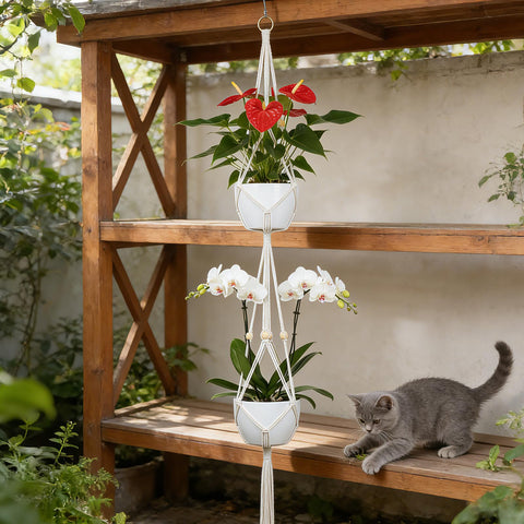 Dntorx Macrame Plant Hanger 50-inch bohemian display for greenery.
