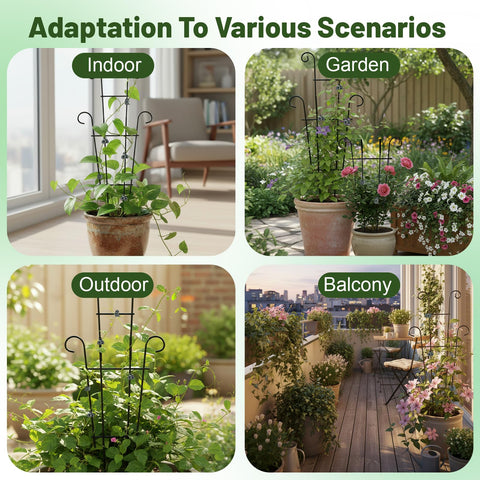 Dntorx 50-clip set secures vines neatly around the frame.