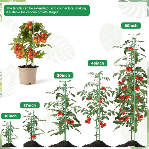 Dntorx versatile supports fit tomatoes, orchids, monstera, and more.