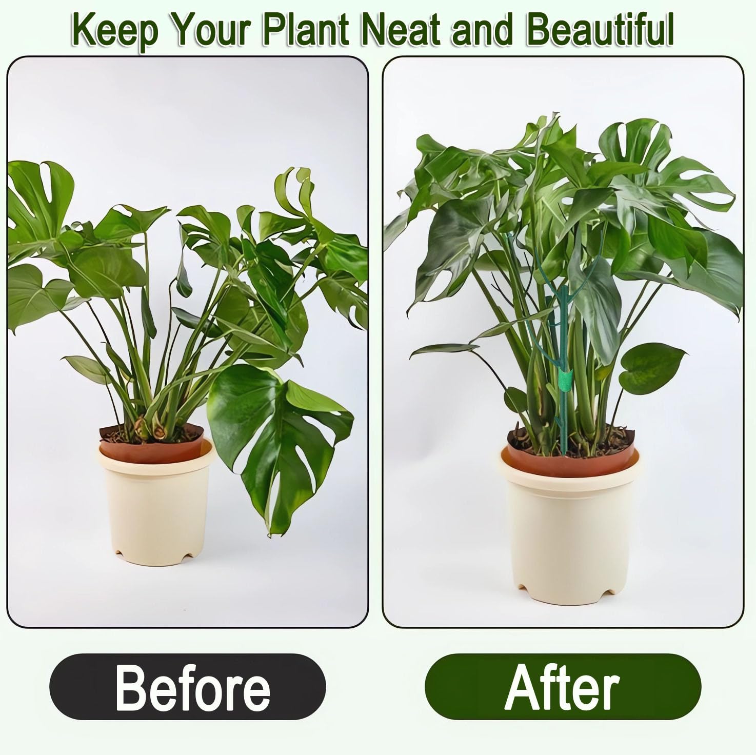 DNUZEWR durable green plastic resists fading in humid spaces.