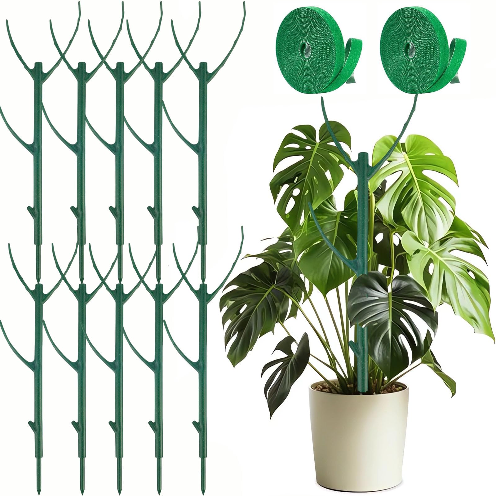 DNUZEWR Monstera stake set provides sturdy, discreet support for climbing plants.