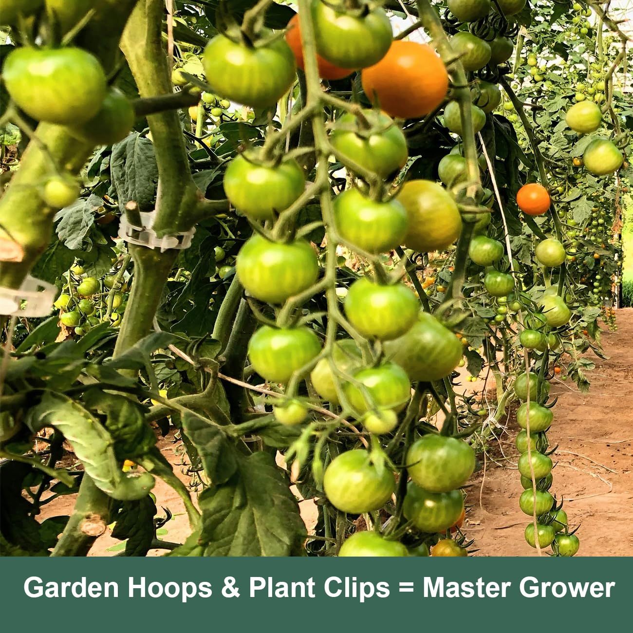 Dobetter rust-free UV-protected frame suitable for all-season gardening.