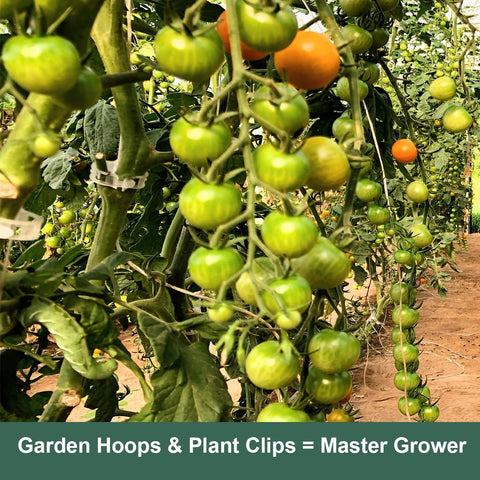 Dobetter rust-free UV-protected frame suitable for all-season gardening.