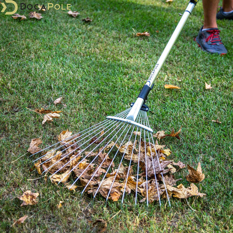 DOCAZOO yard leaf raking with dual-use rake for efficient cleanup.