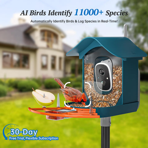 Docoon 2K night vision camera captures daytime and nighttime birds in color.
