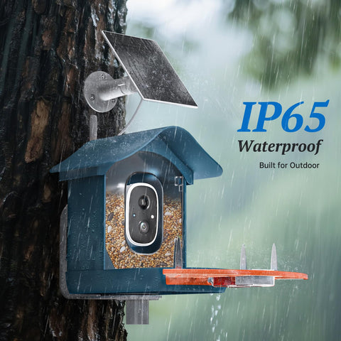 Docoon cloud storage for saving and sharing bird moments.