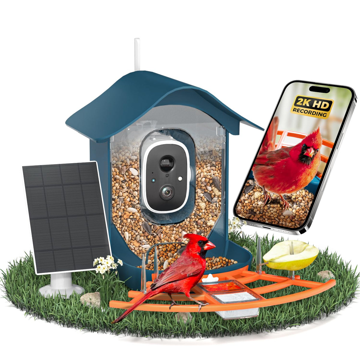 Docoon smart bird feeder with camera in a garden setup for clear bird footage.