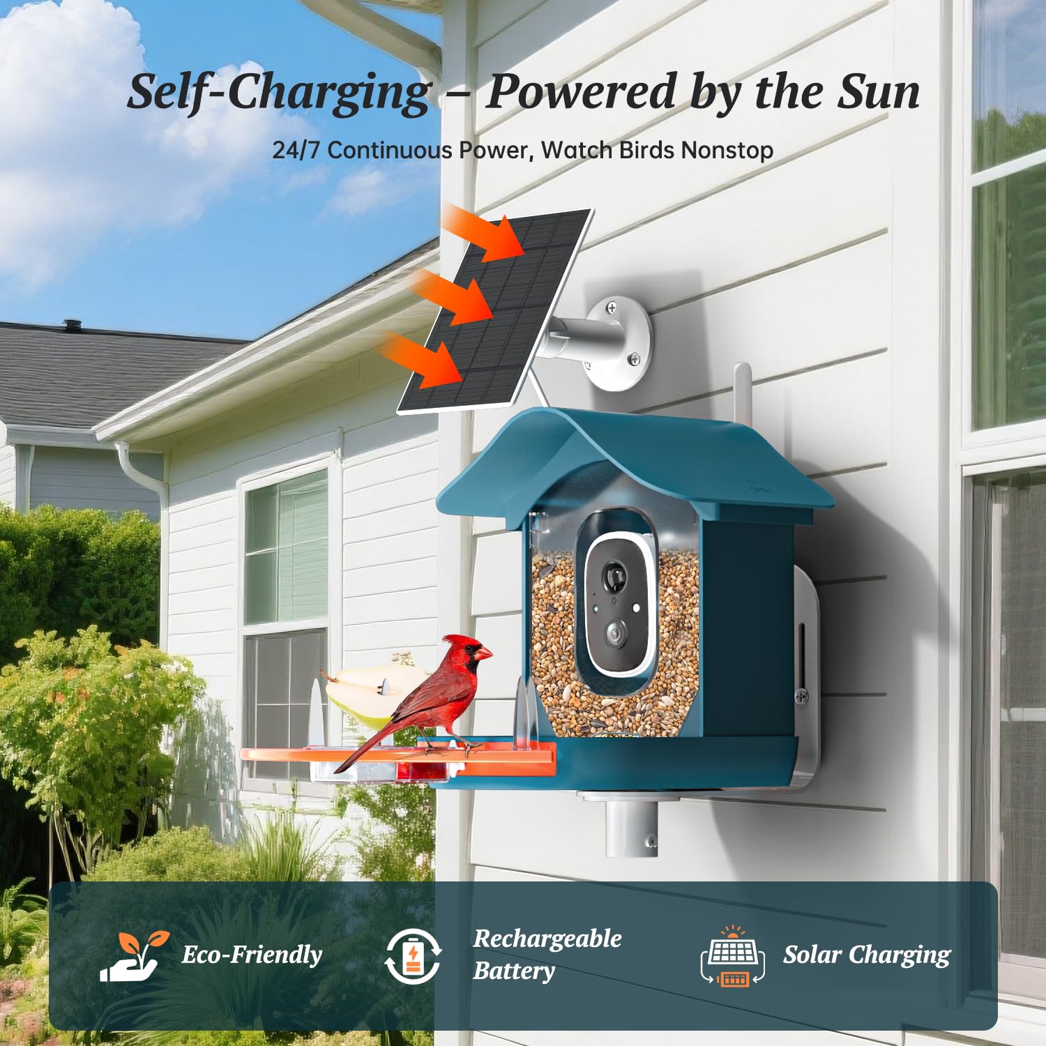 Docoon solar panel powers the feeder for extended outdoor use.