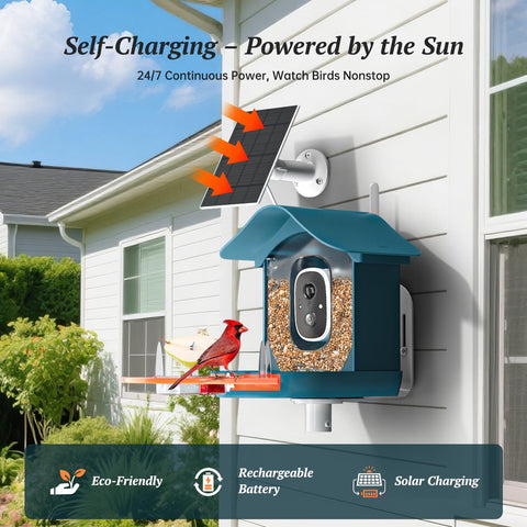 Docoon solar panel powers the feeder for extended outdoor use.