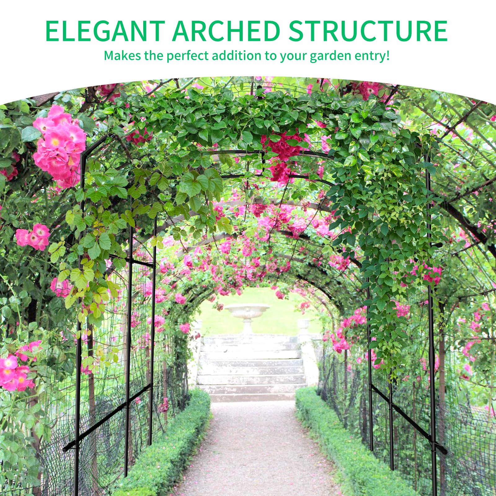 DoCred arch under sun highlights shadows and supports vertical gardening.