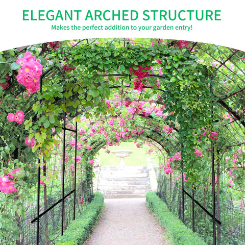 DoCred arch under sun highlights shadows and supports vertical gardening.
