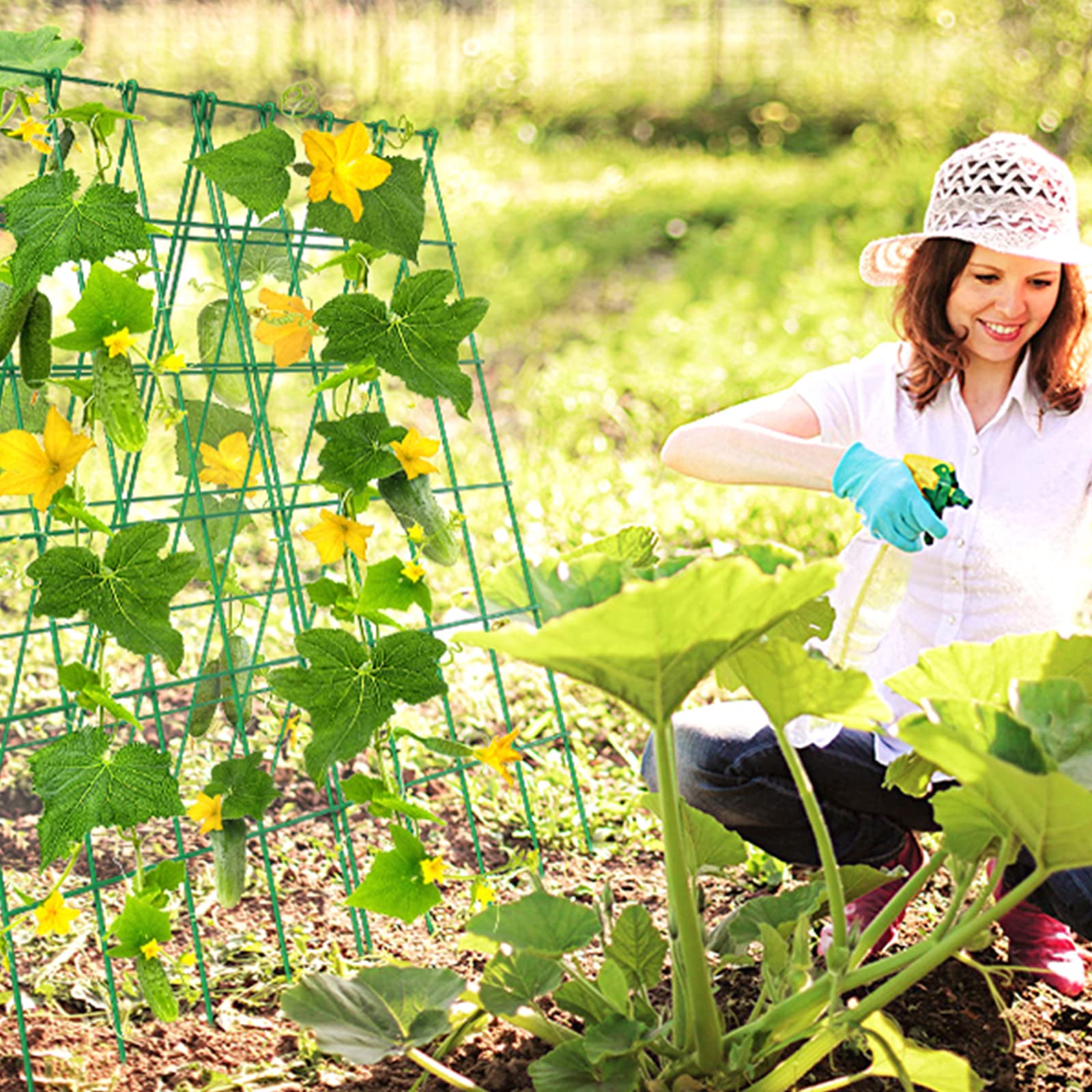 DoCred Cucumber Trellis plant clips train vines with ease.