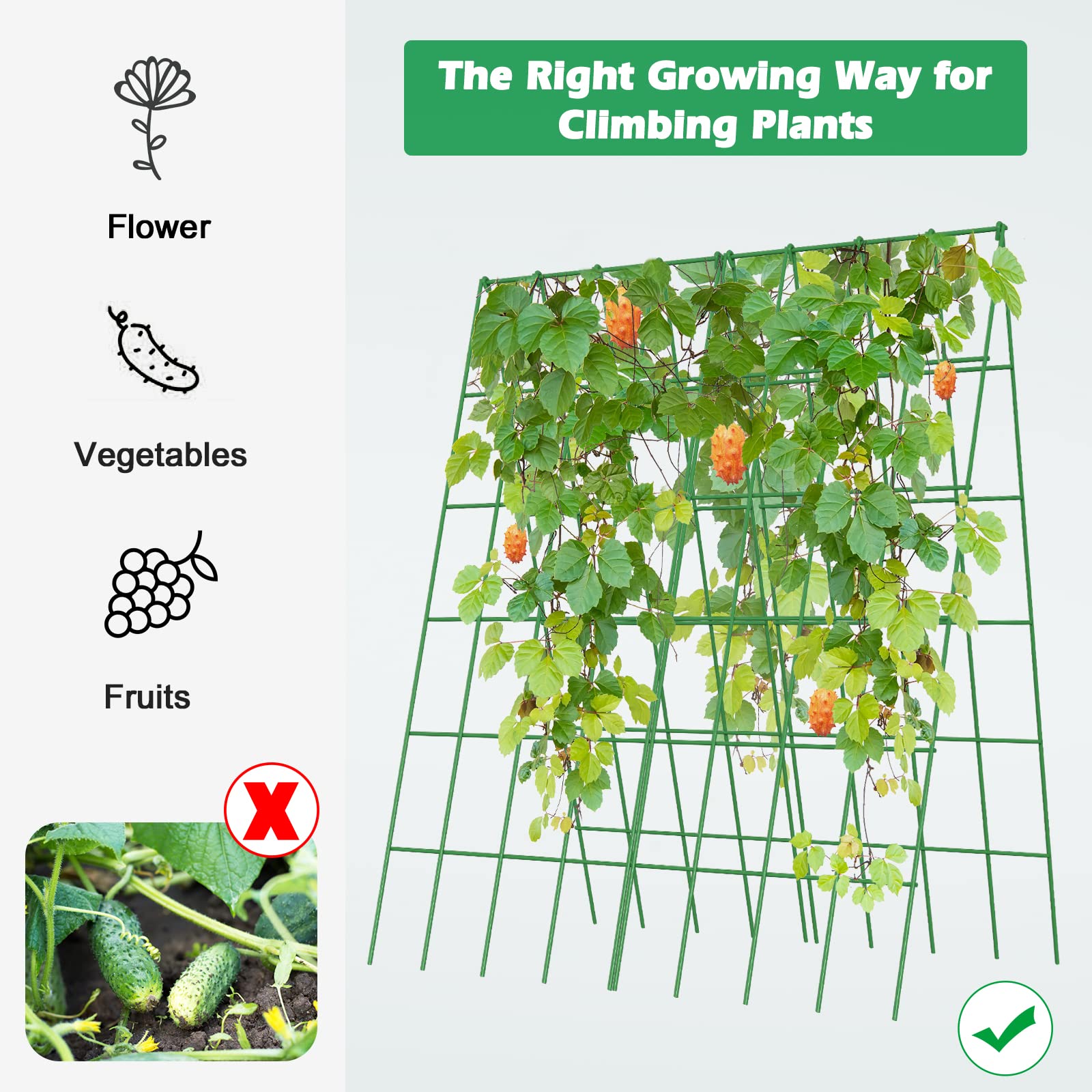 DoCred Cucumber Trellis raised bed setup supports climbing peas.